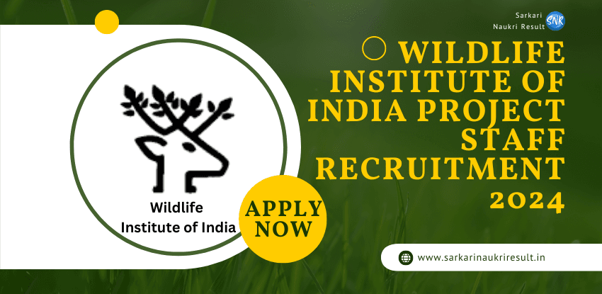 Great Opportunity WII Recruitment 2024 for Project Staff Positions Check And Apply Now 1 WII Recruitment 2024