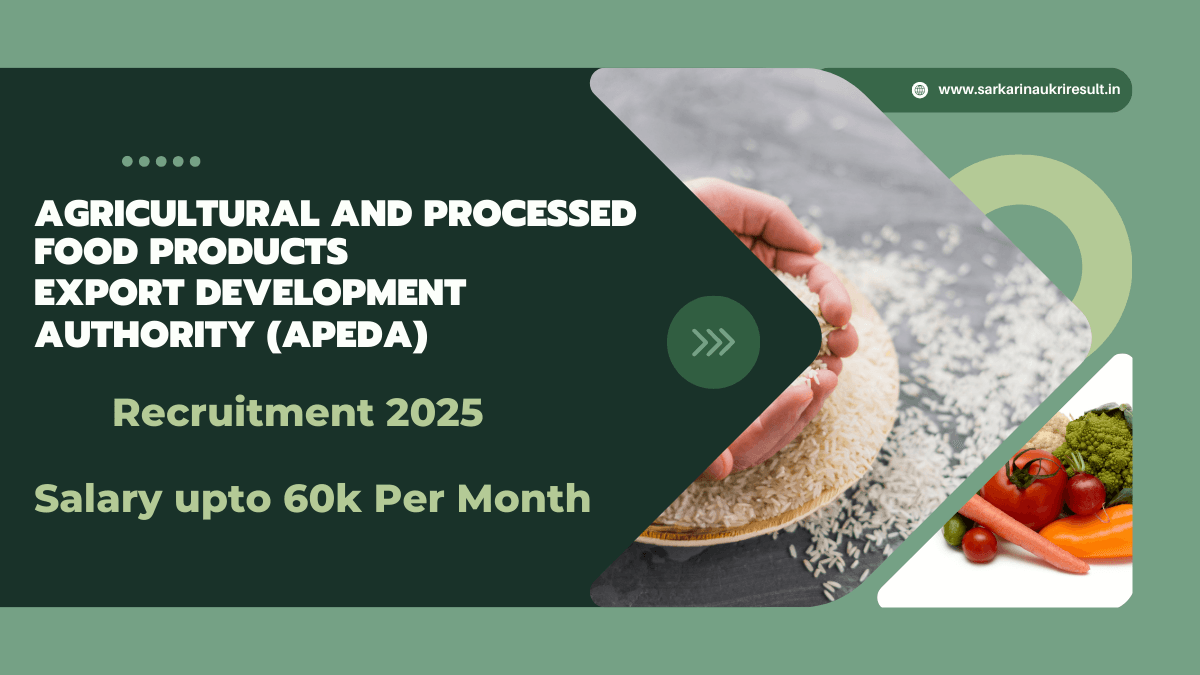 Excellent Opportunity Apply Now for APEDA Recruitment 2025 1 APEDA Recruitment 2025