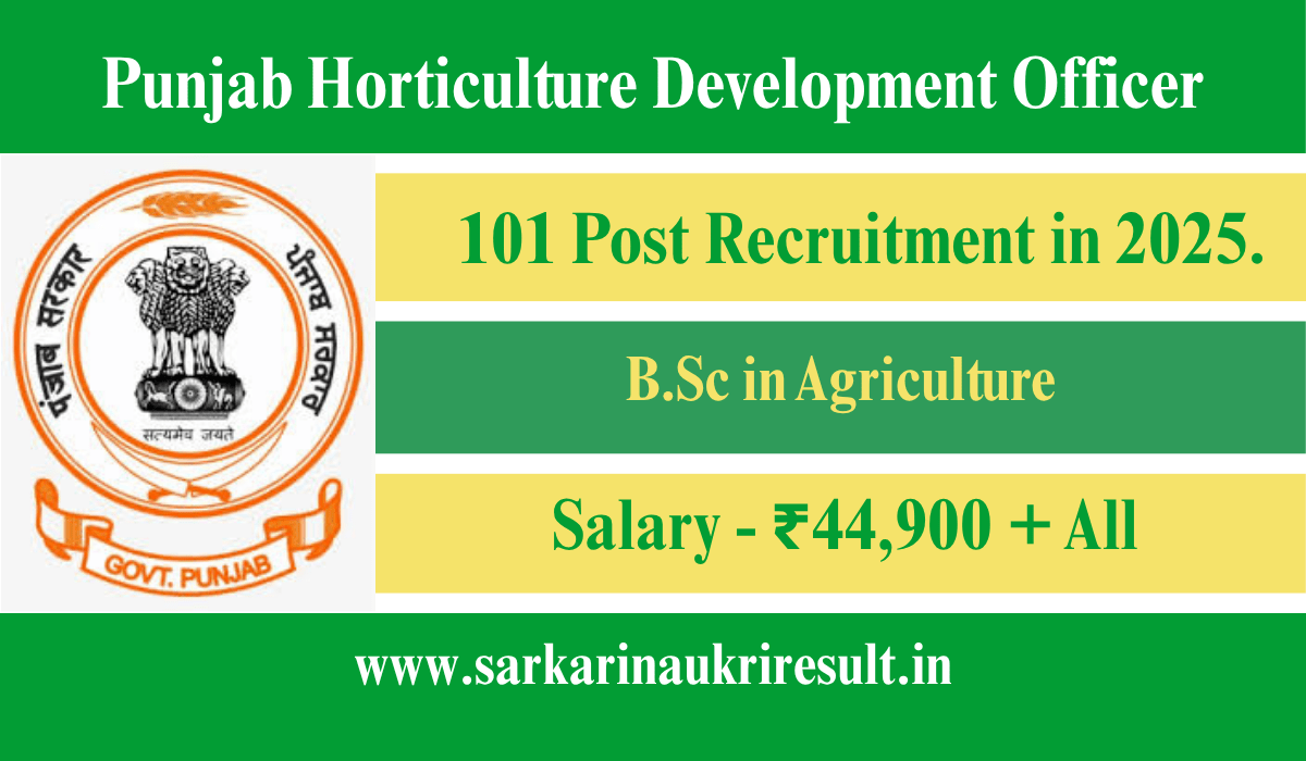 Punjab HDO Vacancy 2025